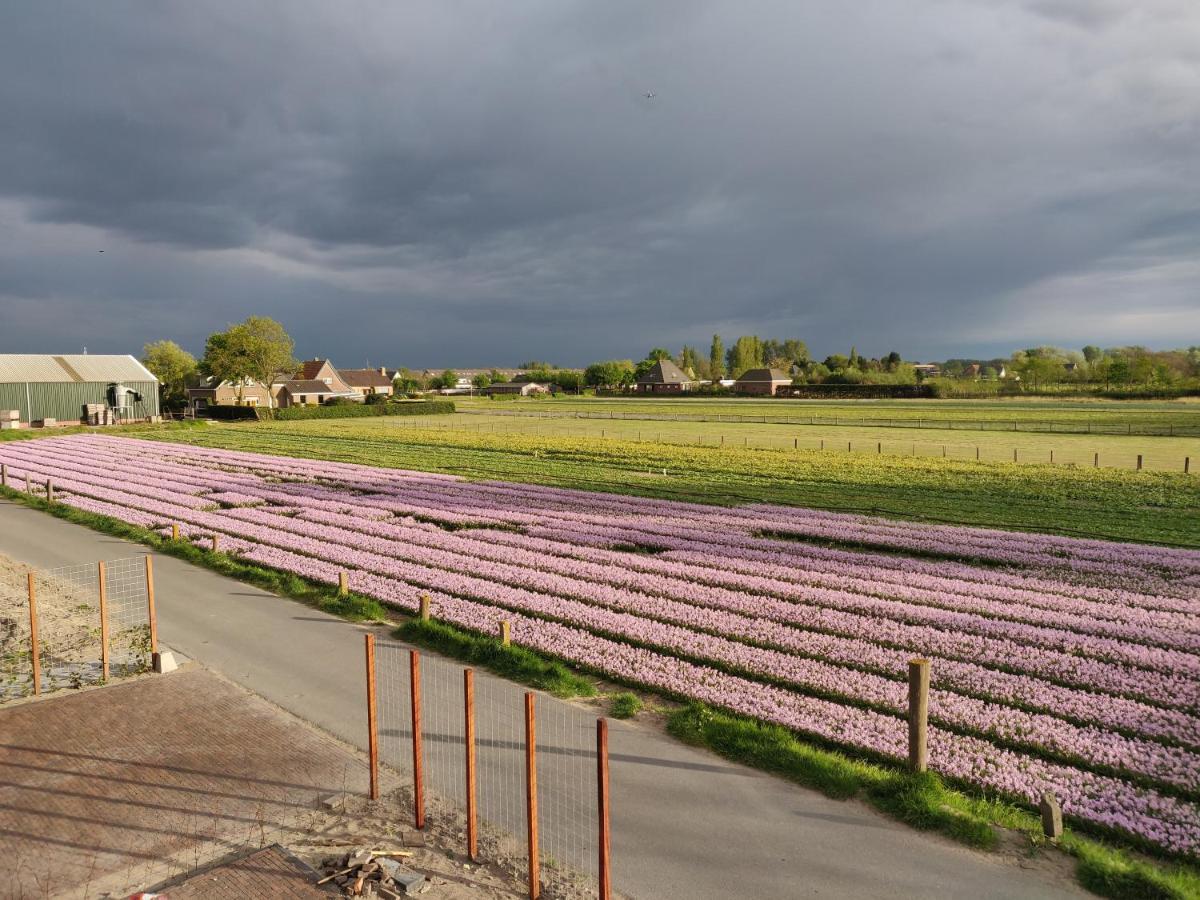 Tulpenhoek Akersloot Exteriér fotografie